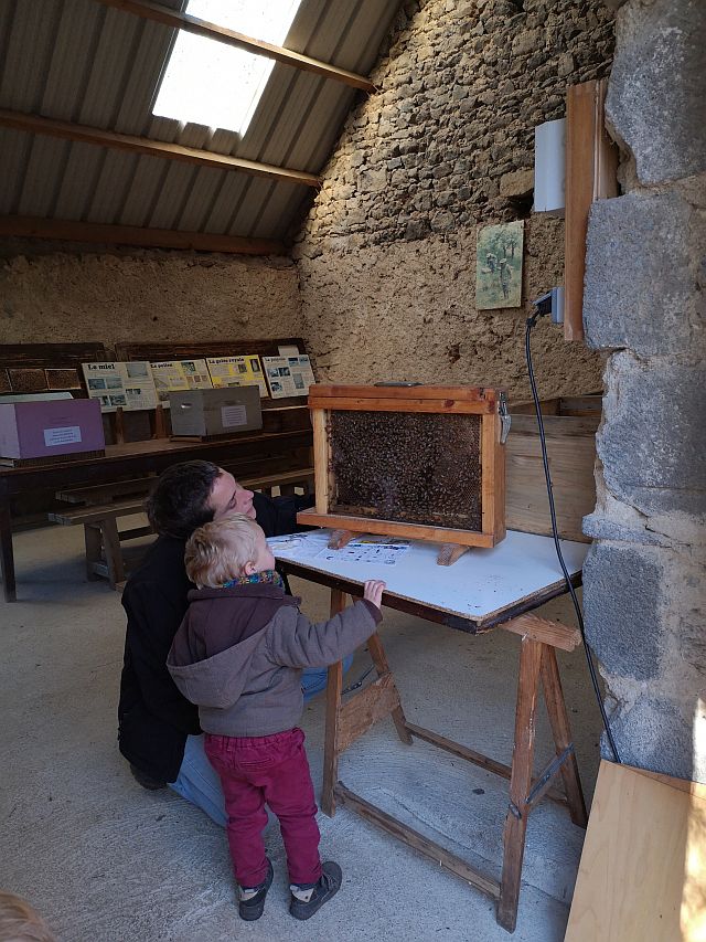 Explications devant une ruche pédagogique