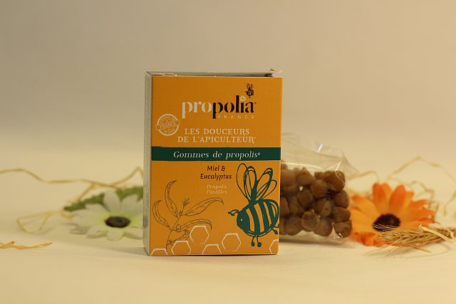 Gommes à la propolis goût eucalyptus