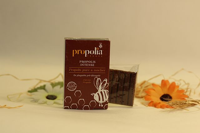 Propolis pure à macher